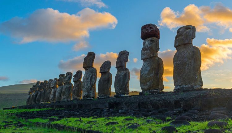 Estudio de la UV revela que mosquitos presentes en Rapa Nui no serían