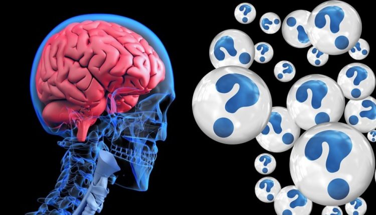 Ema Da Luz Verde A Leqembi Primer Tratamiento Contra El Alzheimer El Periodista 1564