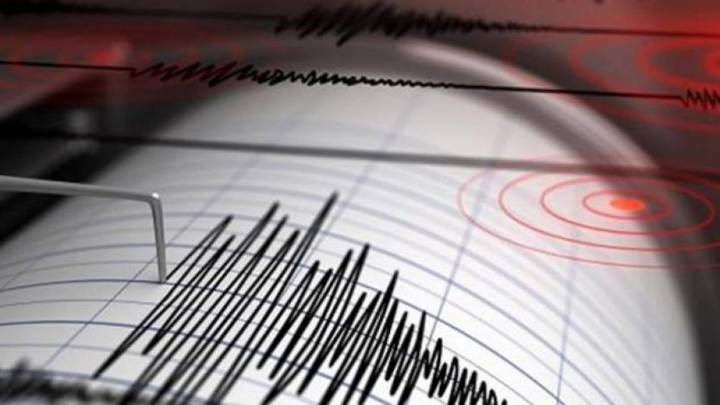 Sismo sacude zona centro sur del país