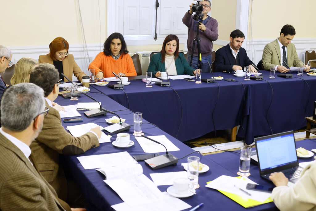 Pleno Del Consejo Constitucional Comienza Hoy Las Votaciones De