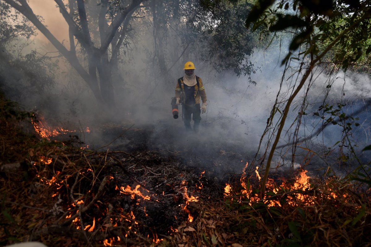 Senapred decreta alerta roja en zona central por incendio forestal