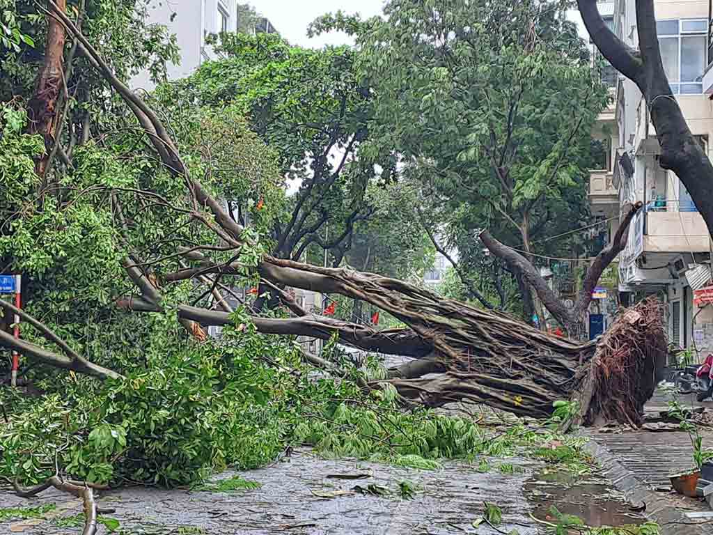 Tifón ‘Yagi’ deja 113 muertos en Birmania tras causar estragos en Vietnam