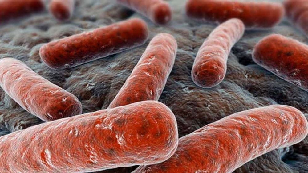 OMS advierte que tuberculosis vuelve a ser principal causa infecciosa de muerte en el mundo