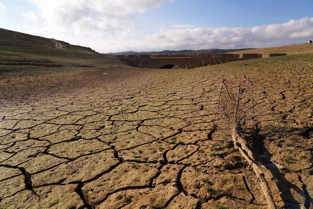 ONG critican ausencia de cifras concretas en Cumbre del Clima: «Es un insulto»