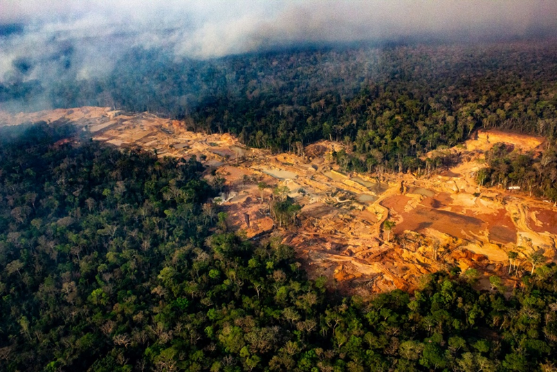 Greenpeace: las acciones más impactantes en Chile y el mundo este 2024